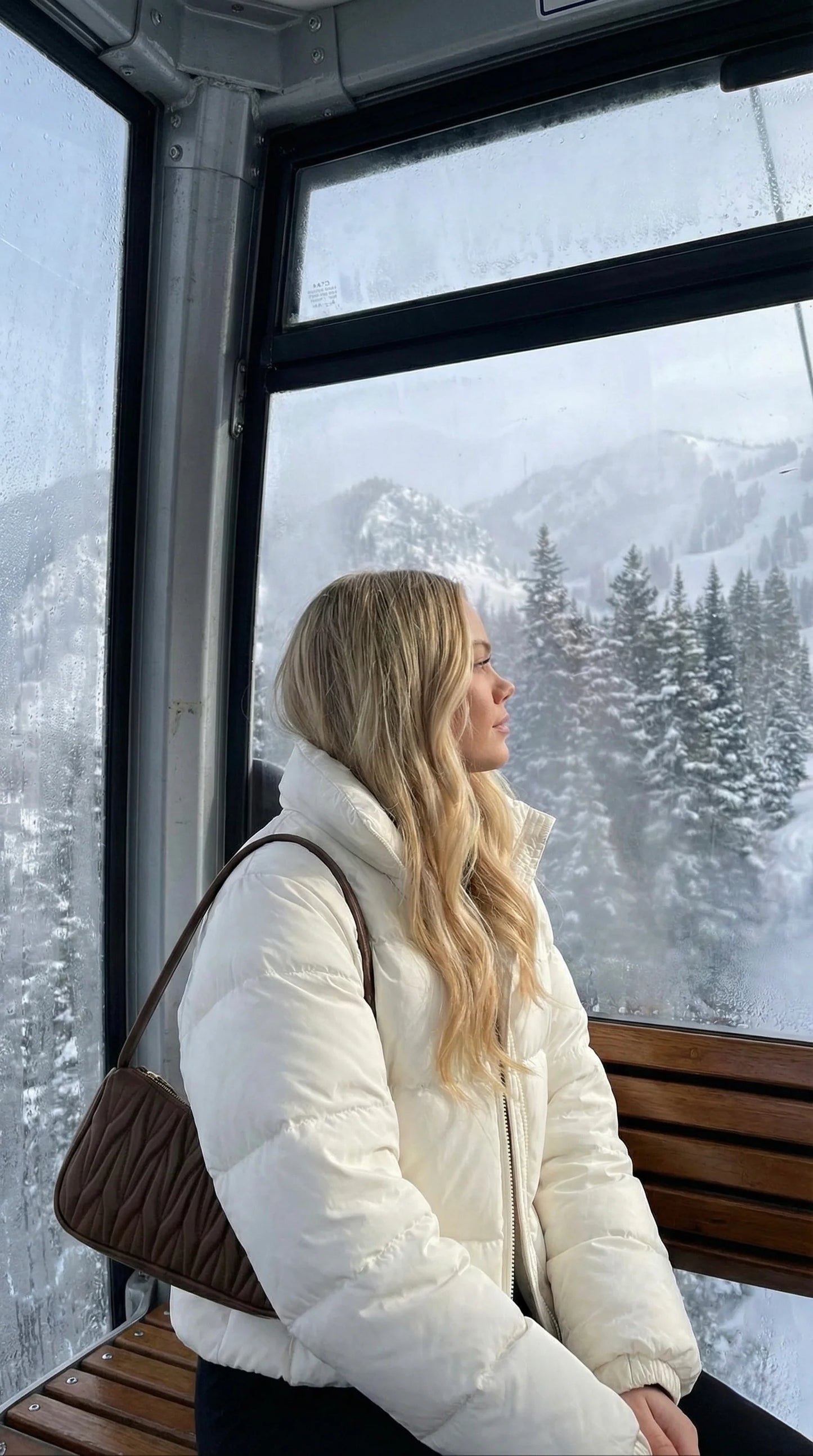 Linnea Shoulder Bag Brown